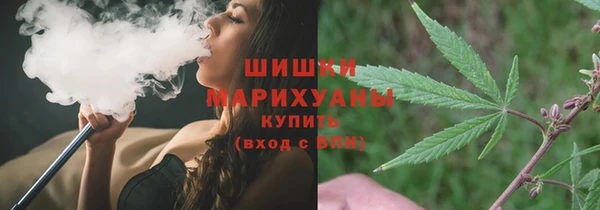 дмт Сатка