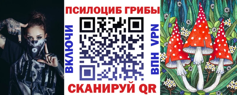 Псилоцибиновые грибы прущие грибы  где купить наркоту  Стародуб 